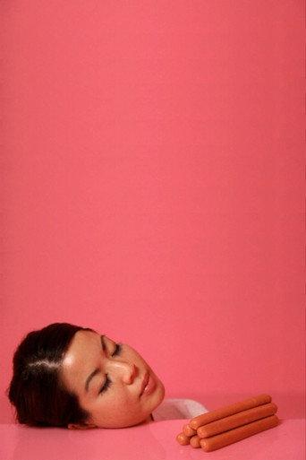 The Pink Detachment (2015) poster