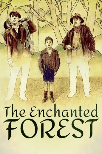 The Enchanted Forest (1987) poster