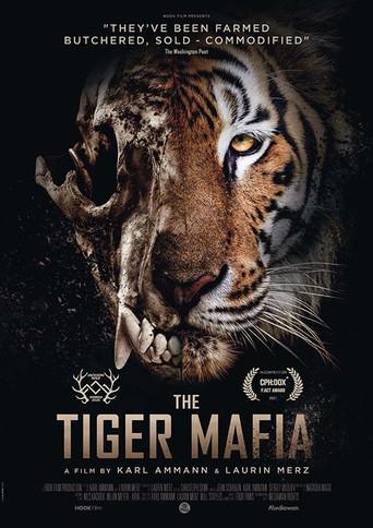 The Tiger Mafia (2020) poster