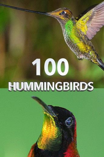 100 Hummingbirds (2021) poster