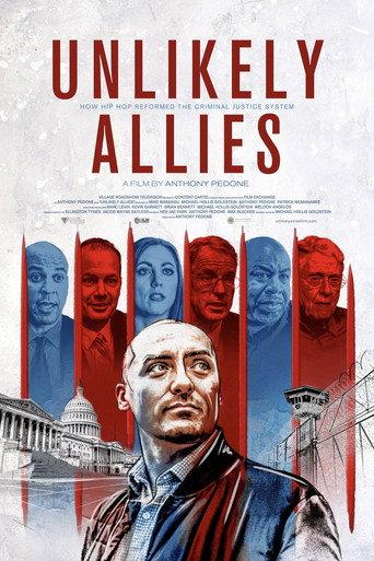 Unlikely Allies (2024) poster