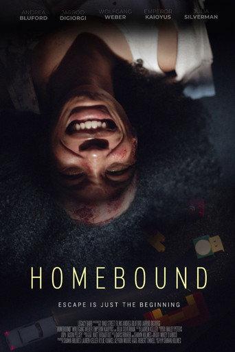 Homebound () poster