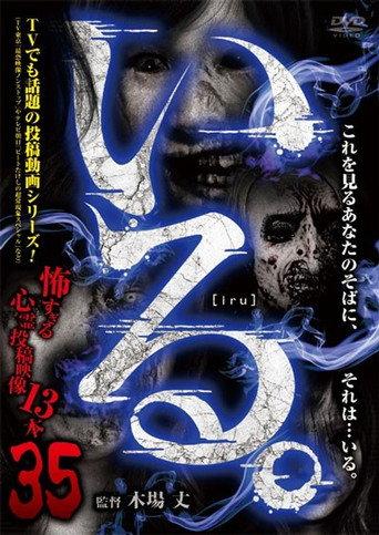 「Iru.」~ Kowasugiru Tōkō Eizō 13-hon ~ Vol.35 (2020) poster