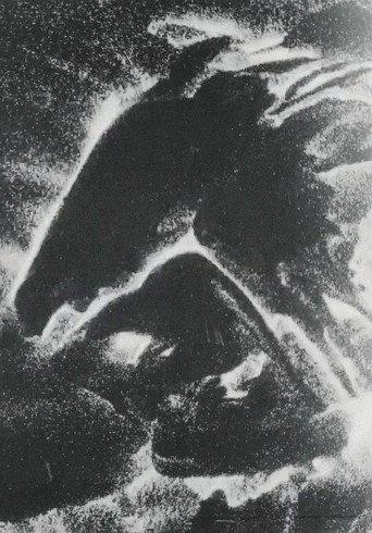 Herd (1999) poster