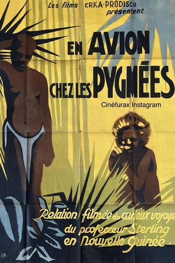Adventures in Pygmy Land (1927) poster
