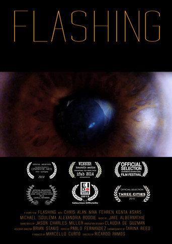 Flashing (2014) poster