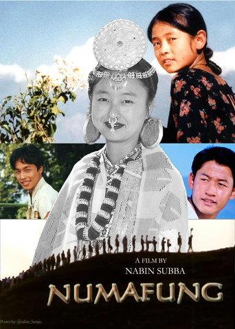 Numafung (2003) poster