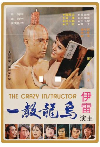 The Crazy Instructor (1974) poster