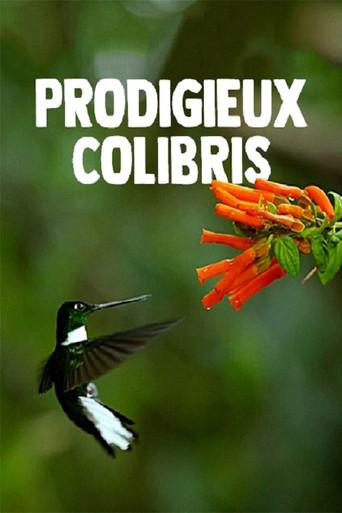 Hummingbirds: Magic in the Air (2010) poster