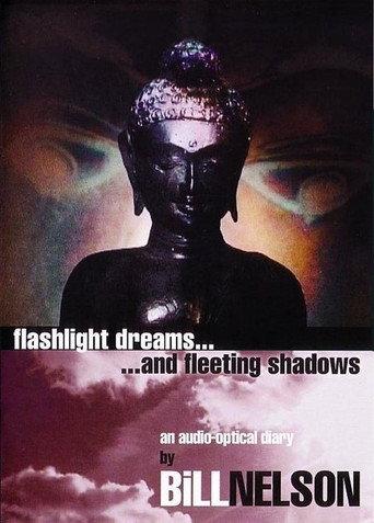 Flashlight Dreams and Fleeting Shadows: an Audio-Optical Diary by Bill Nelson (2003) poster