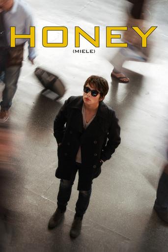 Honey (2013) poster