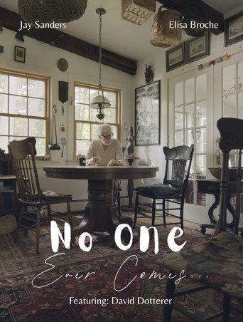 No One Ever Comes () poster