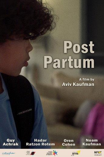 Post Partum (2024) poster