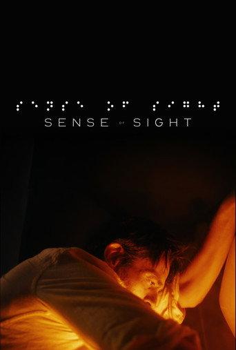 Sense of Sight () poster