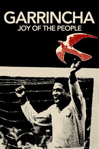 Garrincha: Joy of the People (1962) poster