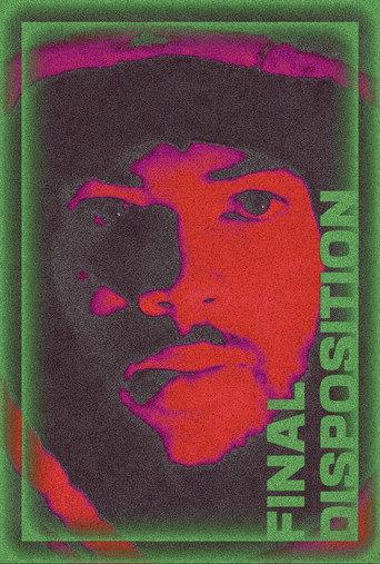 Final Disposition () poster