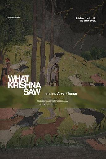 What Krishna Saw (2026) poster