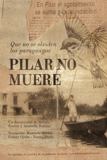 Pilar won't die (2025) poster