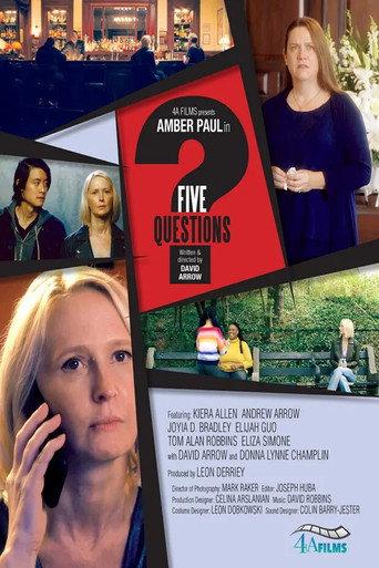 Five Questions () poster