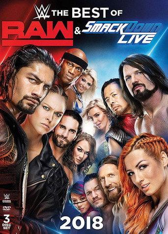 WWE The Best of Raw and Smackdown Live 2018 (2019) poster