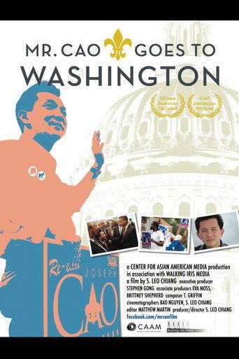 Mr. Cao Goes to Washington (2012) poster