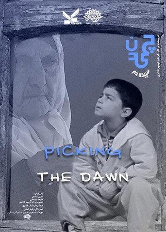 Picking the Dawn (2011) poster