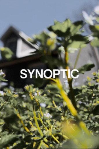 Synoptic (2024) poster
