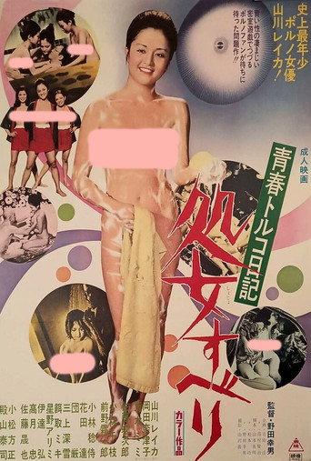 青春トルコ日記 処女すべり (1975) poster