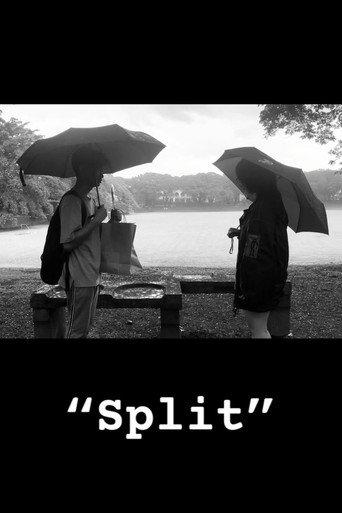 Split (2023) poster
