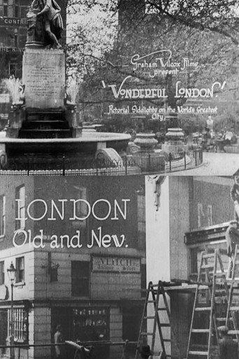 Wonderful London: London Old and New (1924) poster