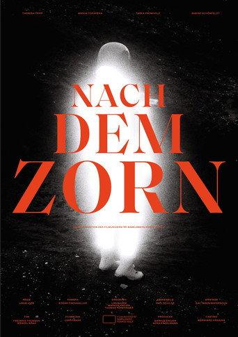 Nach dem Zorn () poster