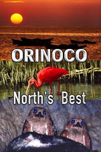 Orinoco, North’s Best (2005) poster