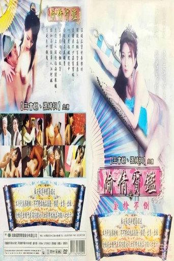 偷情宝鉴之金枪不倒 (2000) poster