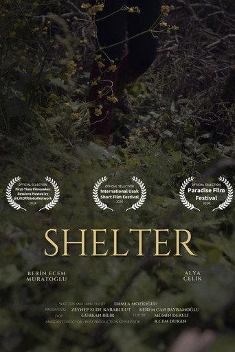Shelter () poster