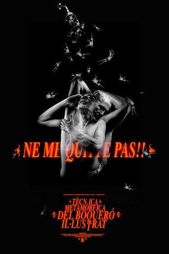 Tècnica Metamòrfica del Boqueró Il·lustrat (2023) poster