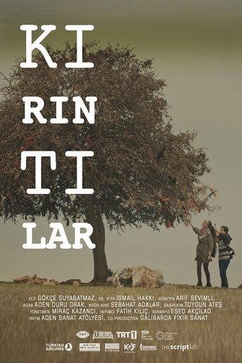 Kırıntılar (2016) poster