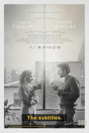 The Subtitles (2024) poster