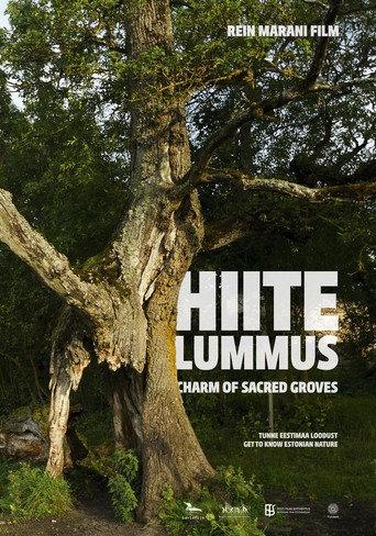 Charm of Sacred Groves (2013) poster