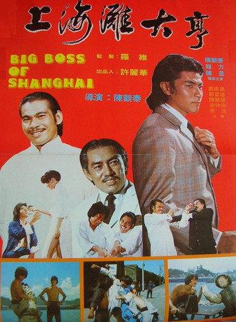 Big Boss of Shanghai (1979) poster