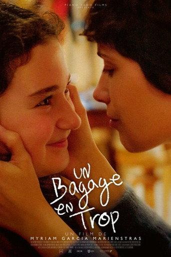 An Excess Baggage (2024) poster