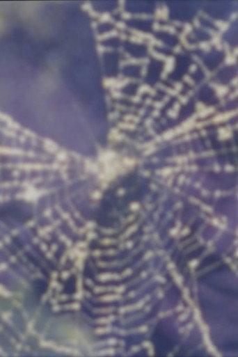 Worm and Web Love (1999) poster