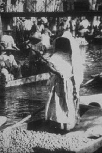 Marche Indien sur le canal de la Viga (1896) poster