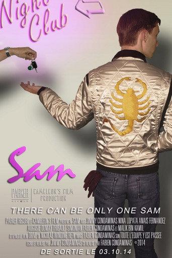 Sam : Drive Parody (2014) poster