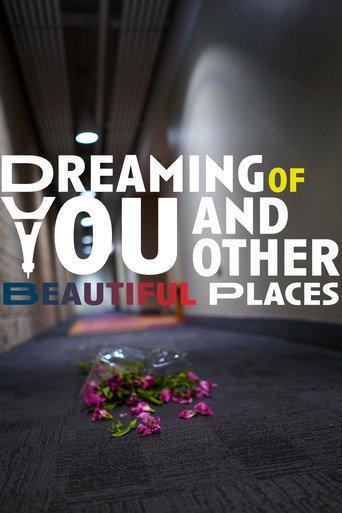 Dreaming of You and Other Beautiful Places () poster