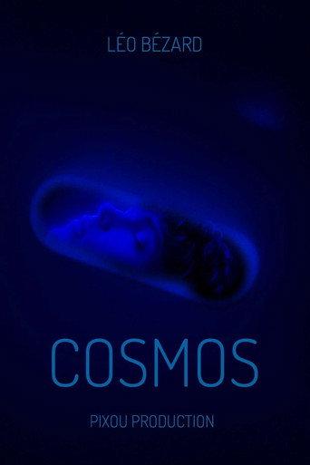 Cosmos (2025) poster