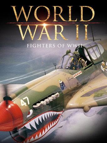 Fighters of WWII (2001) poster