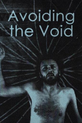 Avoiding the Void () poster