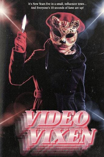 Video Vixen (2026) poster