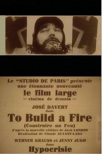 To Build a Fire (1928) poster
