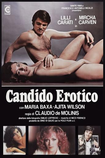 The Exhibitionist (1978) poster